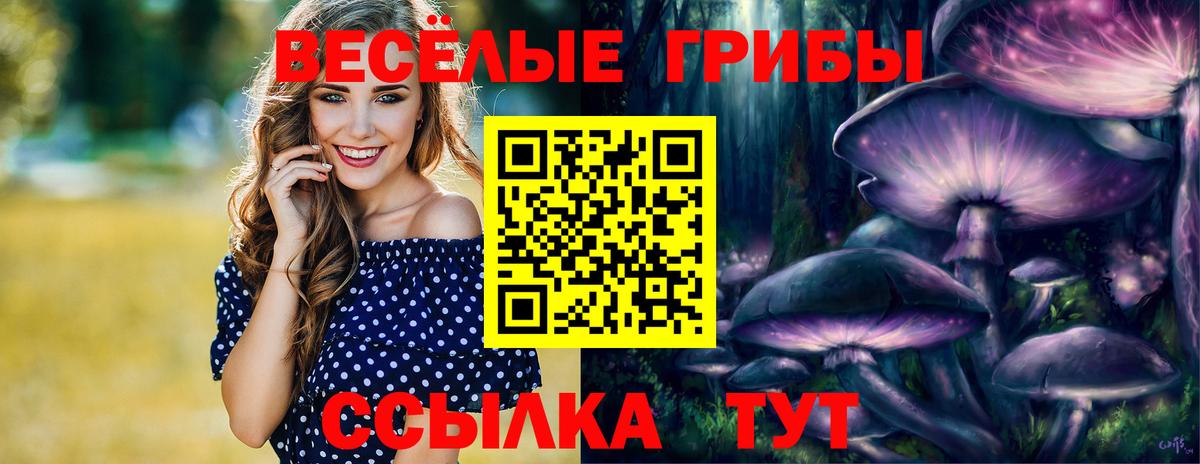 Галлюциногенные грибы мухоморы Черняховск