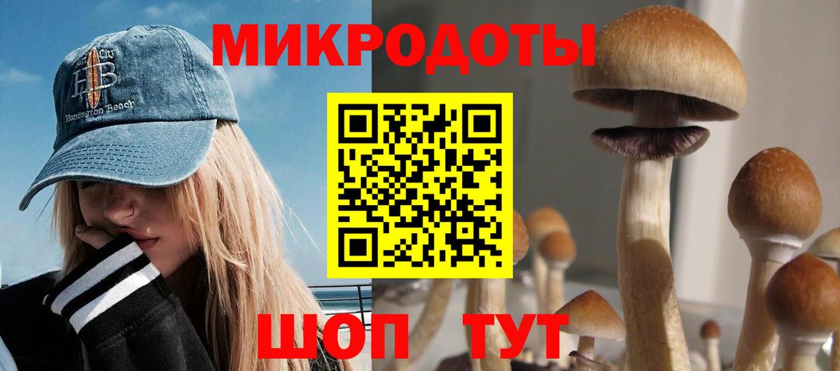 Галлюциногенные грибы Cubensis  Вход с VPN  Черняховск 
